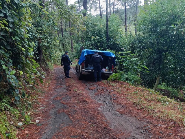 Alcalde Mexicano Denuncia Narco-Campamento de Entrenamiento con Terroristas Colombianos