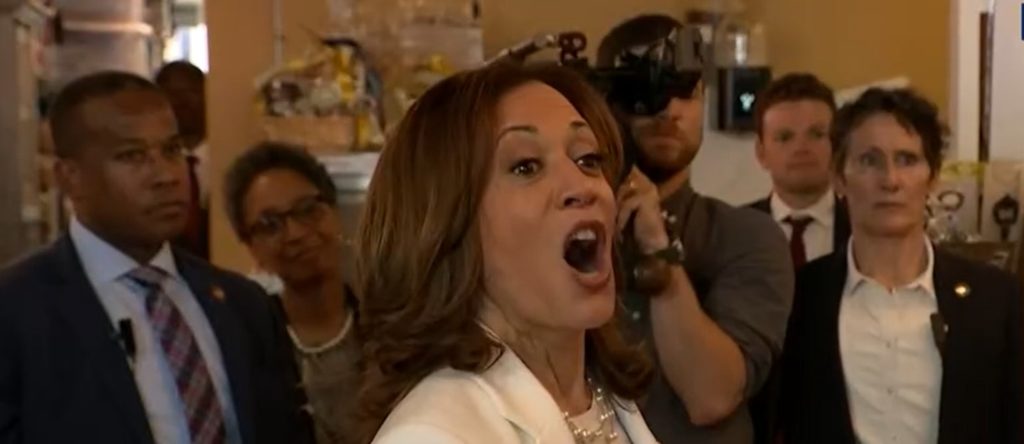 BOB EHRLICH: Corporate Media Is Working Overtime To Paper Over Harris’ Radical Record