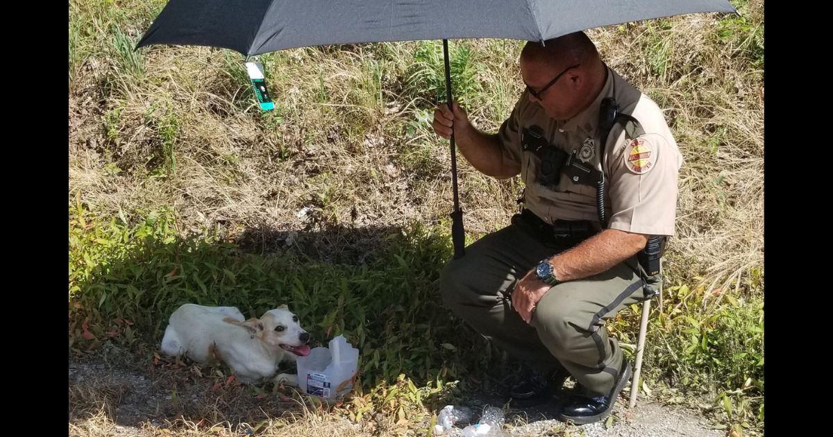 Kind-Hearted State Trooper Rescues Suffering Dog on Side of the Highway, Ends Up Adopting Her
