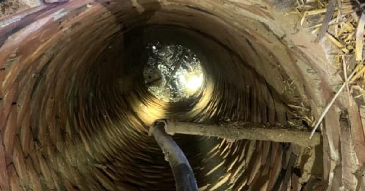 Senior Dog Rescued by Firefighters After Falling Into Abandoned Well and Treading Water for 4 Hours