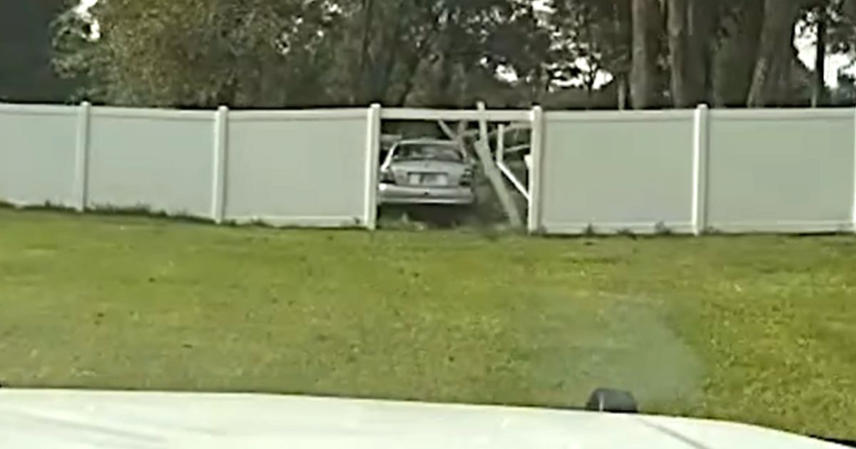 Video: Suspected Car Thief Behind Bars After K-9 Deputy Brings High-Speed Chase to an Abrupt End