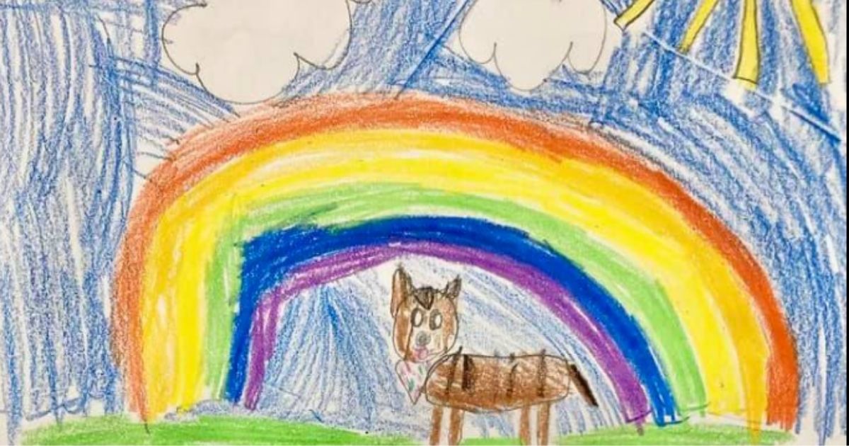 Clever Teacher Gives Students Adorable Writing Assignment to Help Pets Find Their Forever Homes