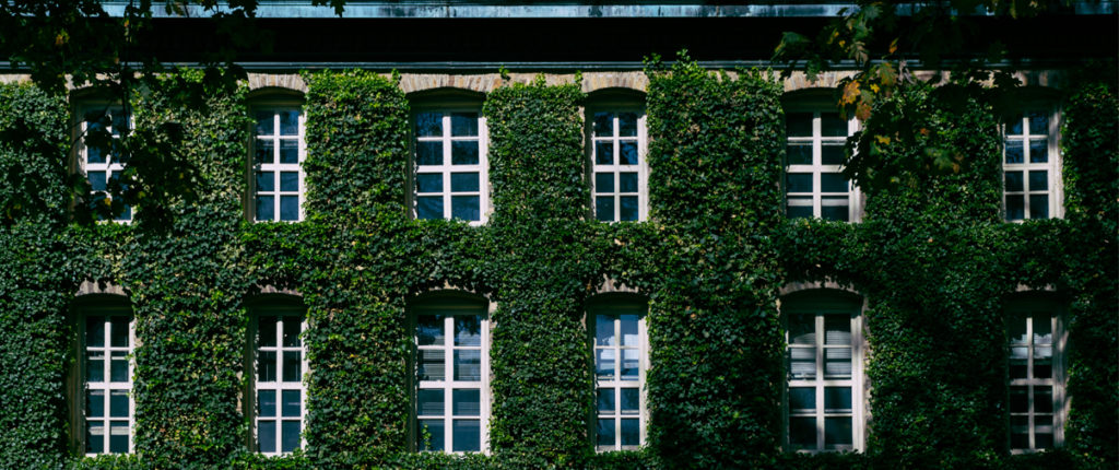 Ivy League School Forced To Fork Over Admissions Data, $30 Million To Trump Admin
