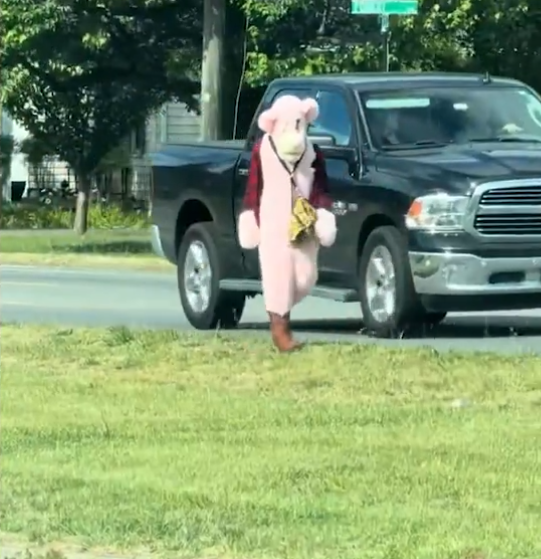 Pink-Clad Creep Accused of Attempting to Abduct Virginia School Kids