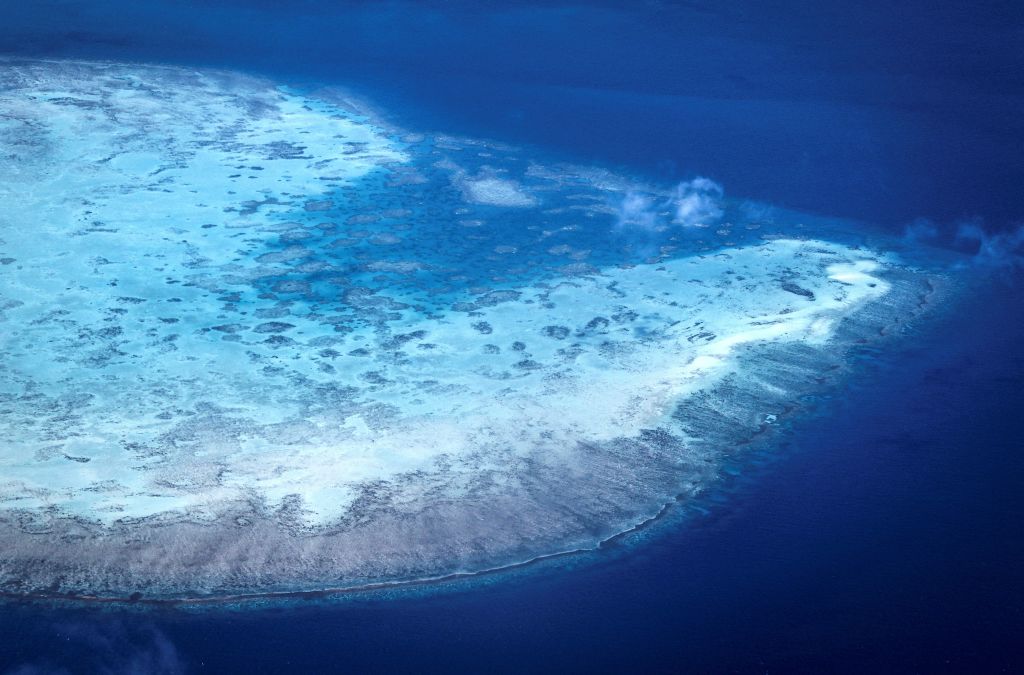 Elderly Cruise Passenger Found Dead After Being Left Behind on Great Barrier Reef Island