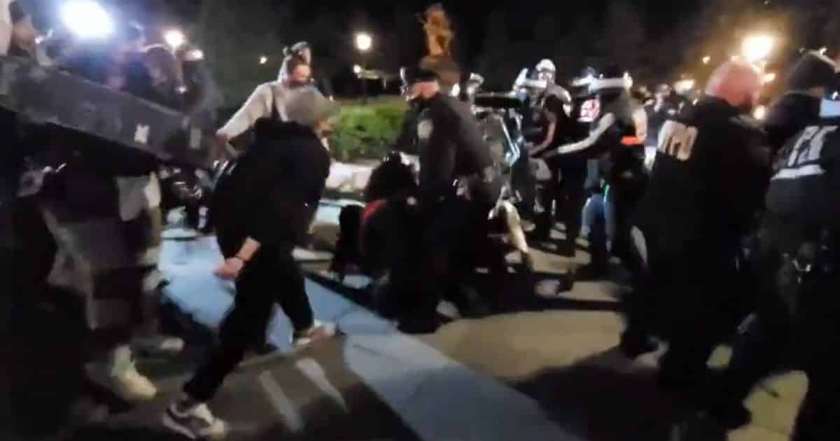 Chaos Erupts As Black Lives Matter Protesters Fight With Police in NYC