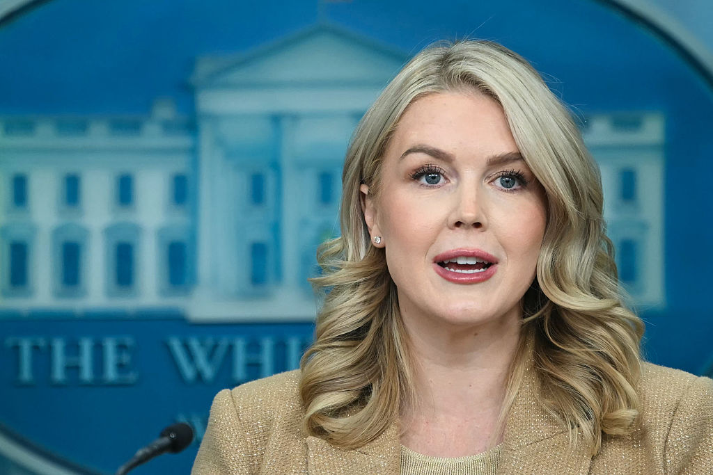 ICE Team Detains ‘Criminal Illegal Alien’ Mother of Karoline Leavitt’s Nephew