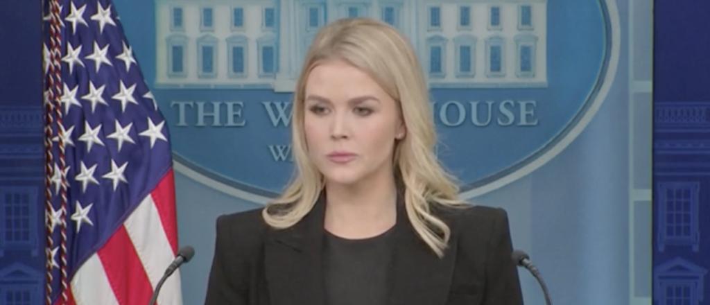 Doocy Asks Karoline Leavitt About Dems’ Violent Rhetoric Against Trump, Musk