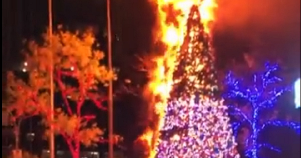 Arrest Made After Fox News’ 50-Foot Christmas Tree Is Set Ablaze in NYC