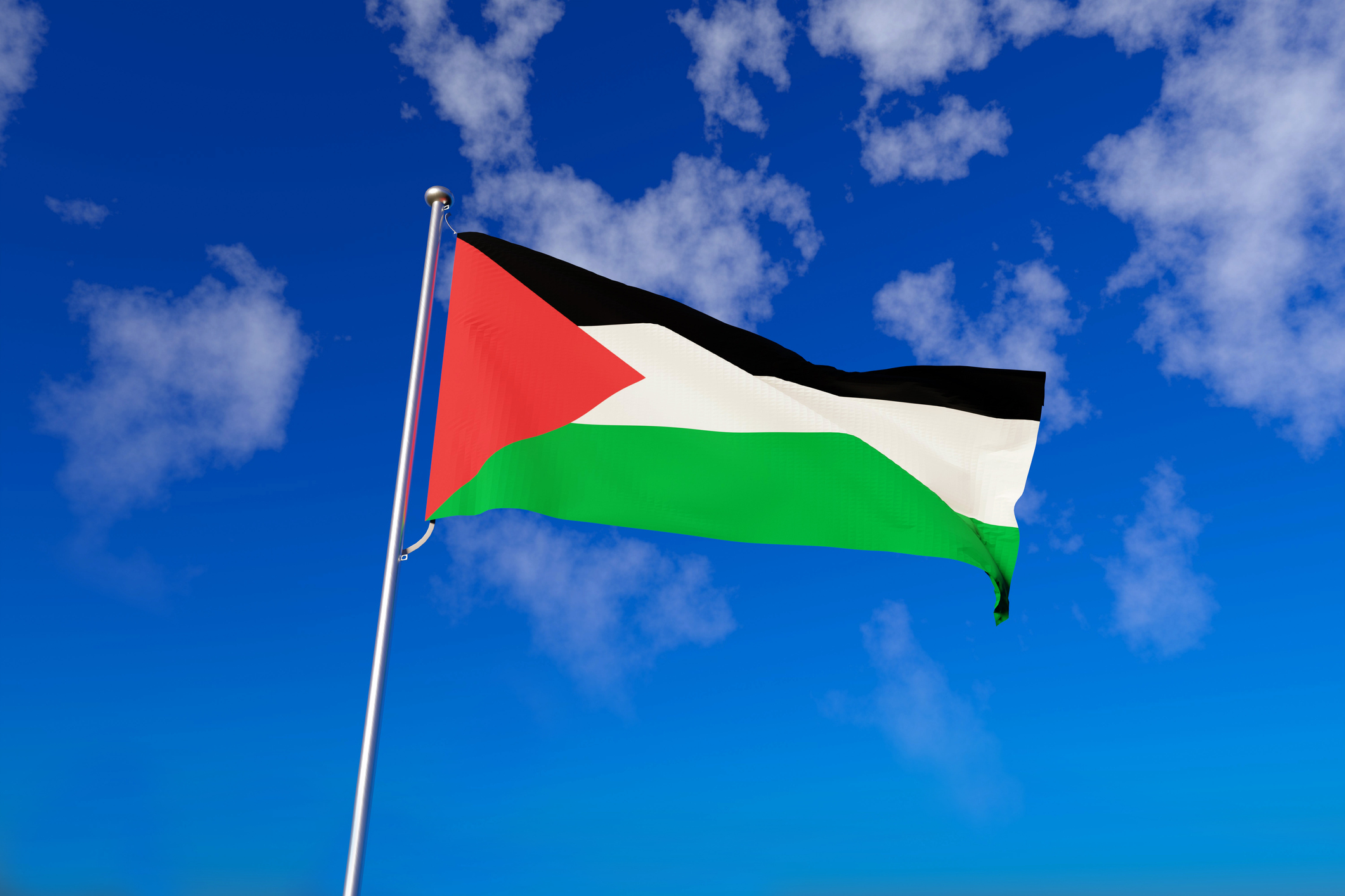 Palestinian Journalist Blasted After Appearing to Complain About Not Being Able to Hijack Planes