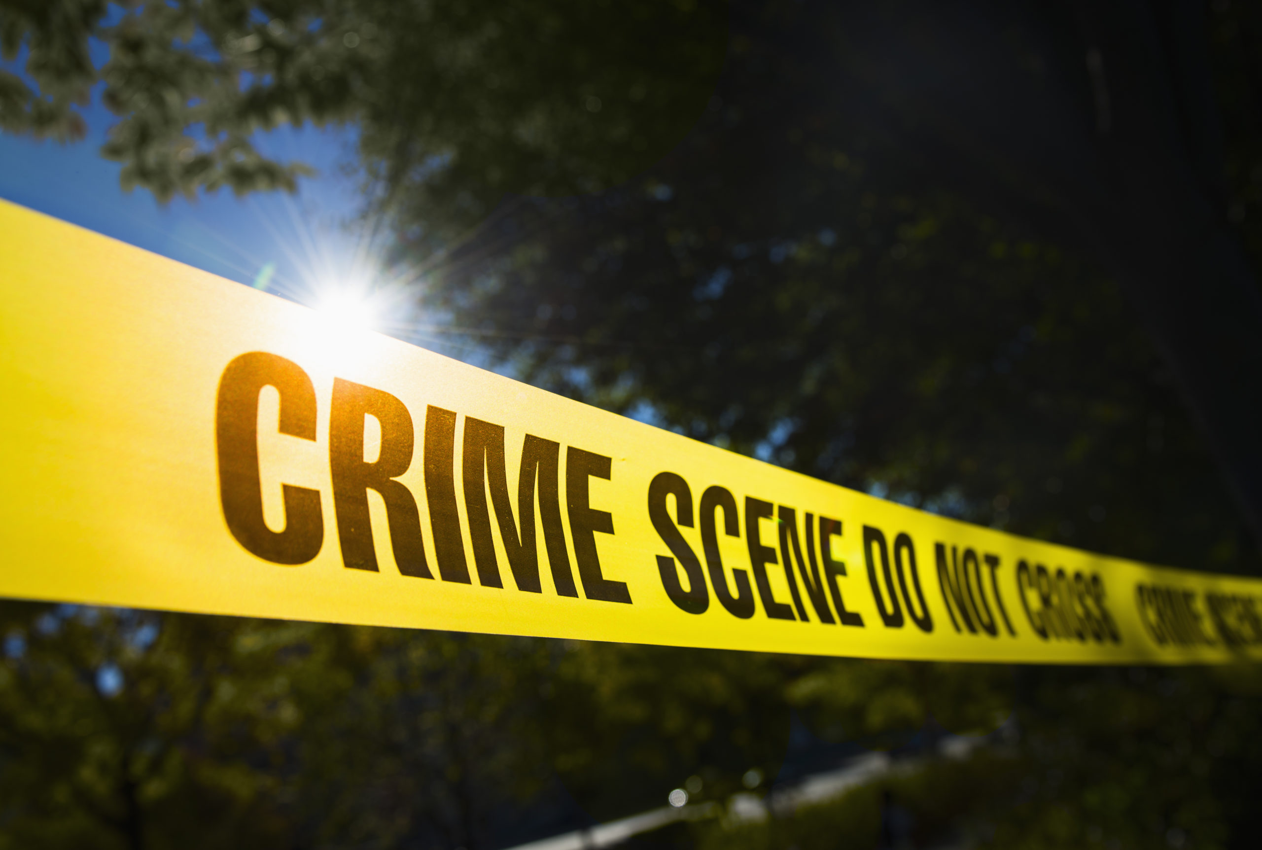 Authorities Discovered Scattered Remains of Air Force Veteran at His Home: Report