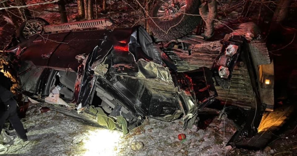 Dog Becomes Unlikely Hero After Leading Police to Horrible Accident