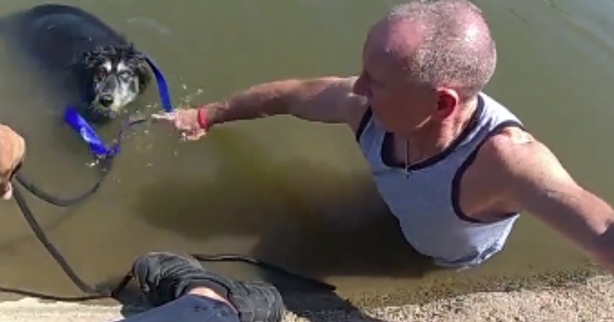 Video: Good Samaritan and Police Team Up to Save Elderly Dog Stuck in Arizona Canal