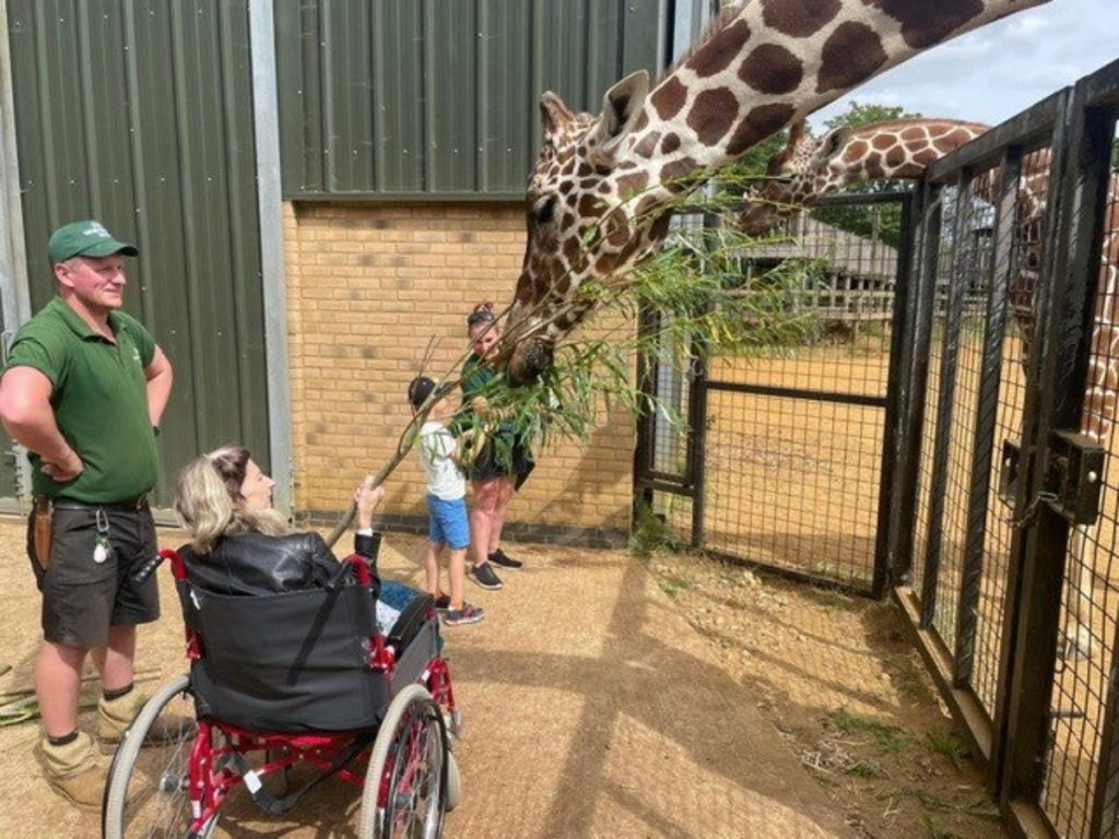 Terminally Ill Mom Granted Final Wish, Takes Son To Zoo‌
‌