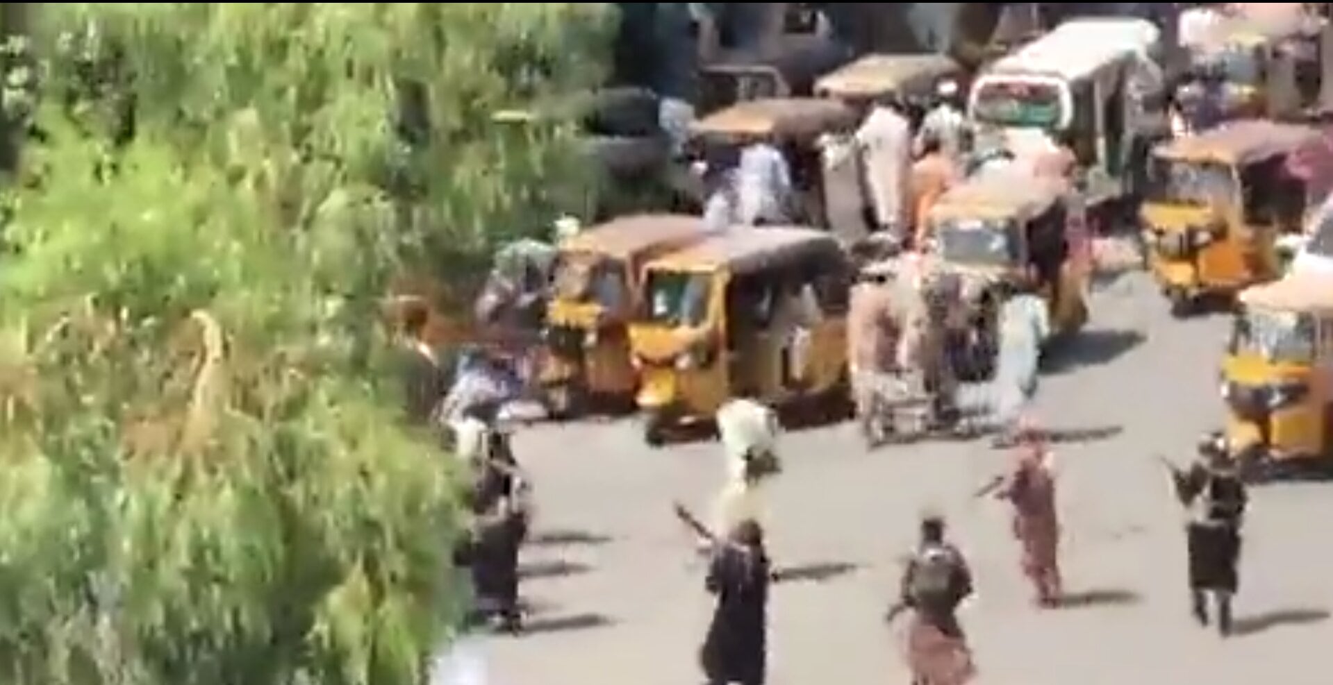 Taliban Open Fire on Hundreds of Protesters Opposing the Group’s Takeover of Afghanistan: Report