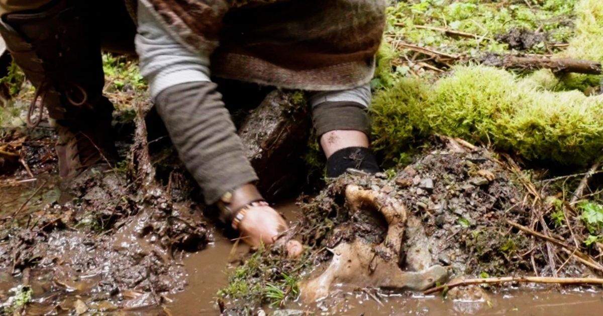 World-Famous Wildlife YouTuber Risks It All with Claim of Large Primate Discovery in North America