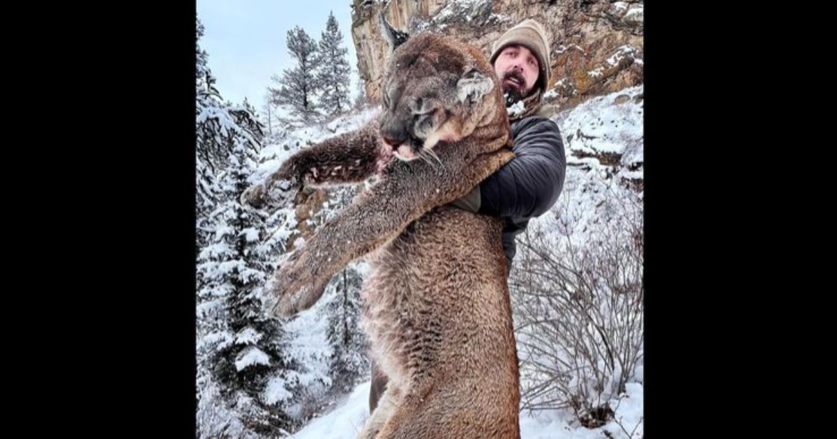 NFL Champ Kills Giant Mountain Lion, Environmentalists Get Up in Arms and Make Fools of Themselves