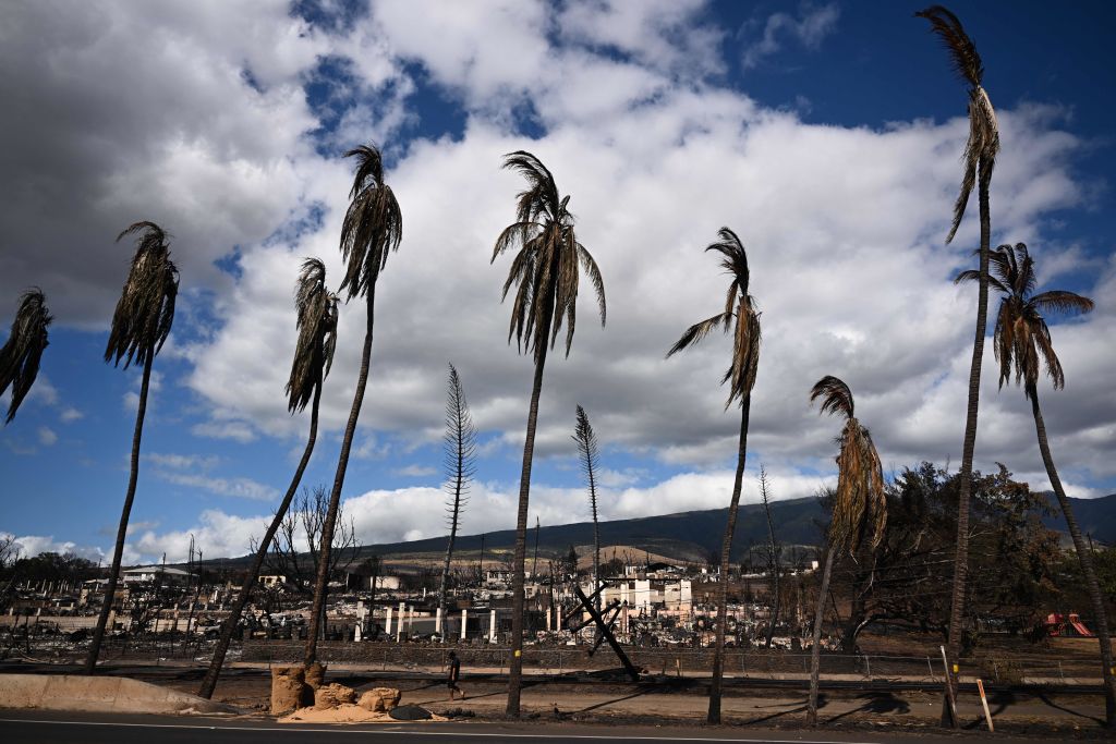 Hawaii’s ‘First Line of Defense’ Likely Failed During Maui Fires, Says Congresswoman