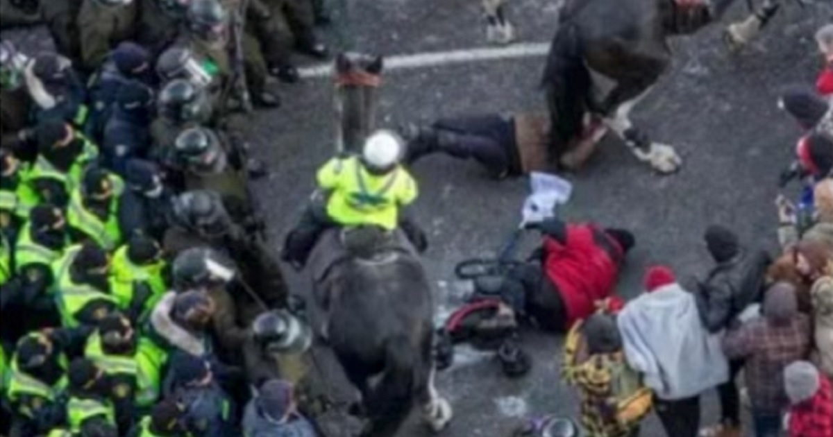 Ottawa Police Criticize Misinformation as Video of Mounted Officers Bowling Over Disabled Protester Goes Global