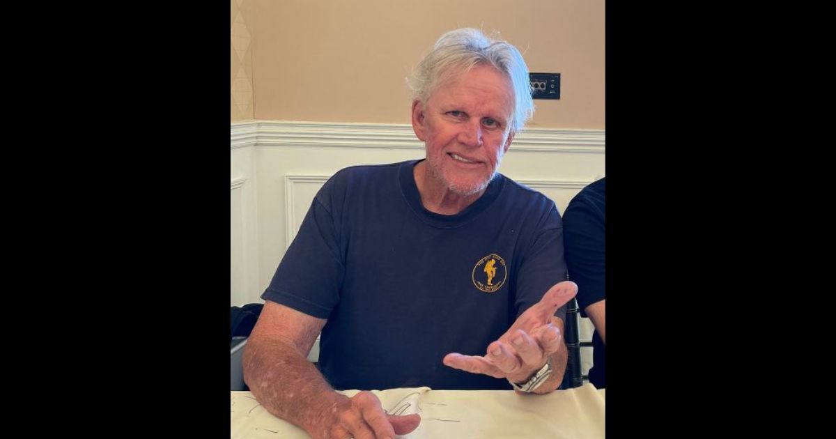 Actor Gary Busey Hit with Serious Criminal Charges