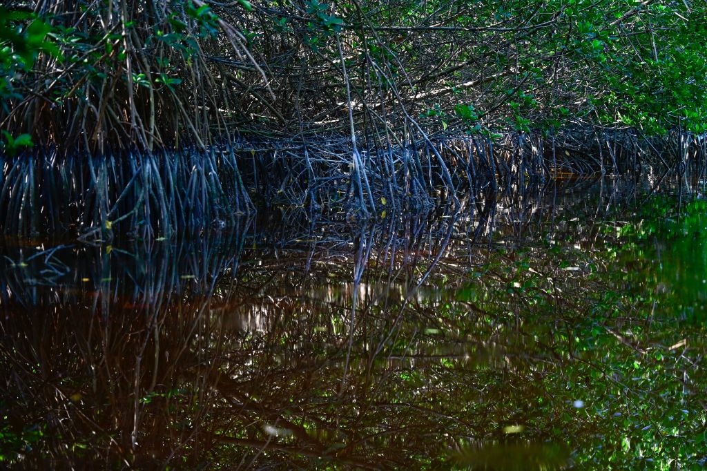 Explorers Discover Ancient Mayan City: Ocomtún