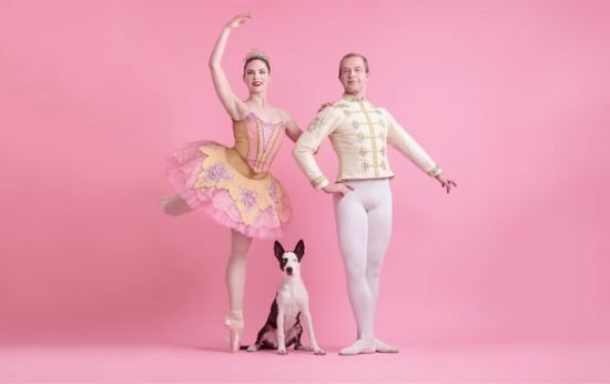 Ballet Company Helps Stray Dogs Find Homes With Annual ‘Muttcracker’ Event