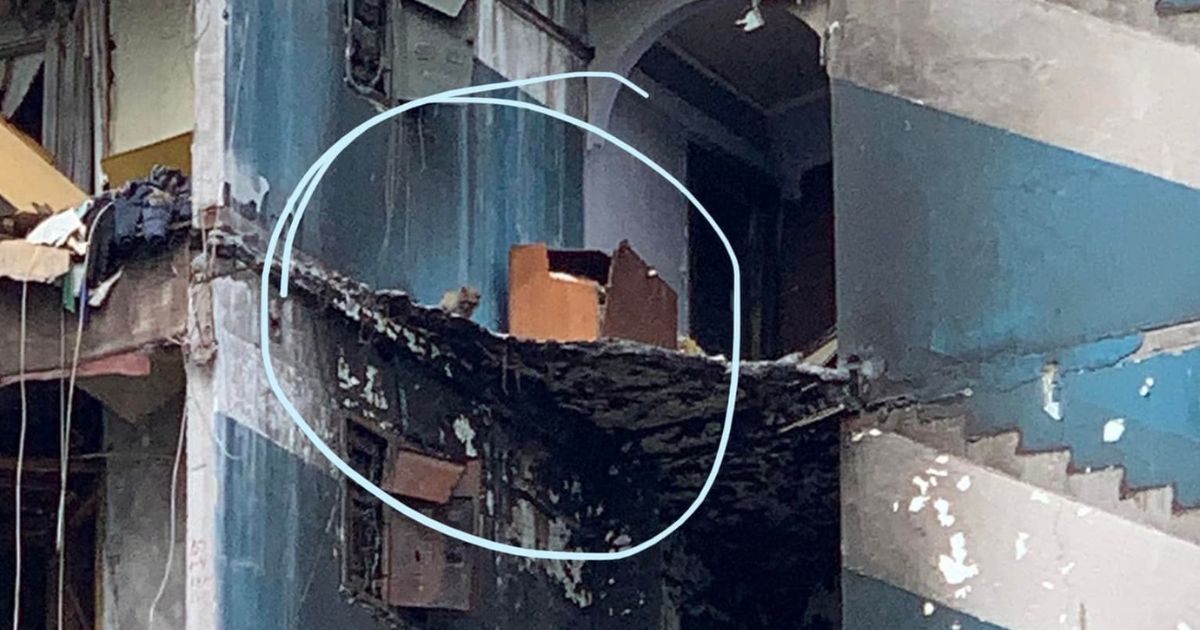 Cat Stranded for Weeks on 7th Floor of Bombed-Out Building Finally Rescued, Thanks to Local Heroes