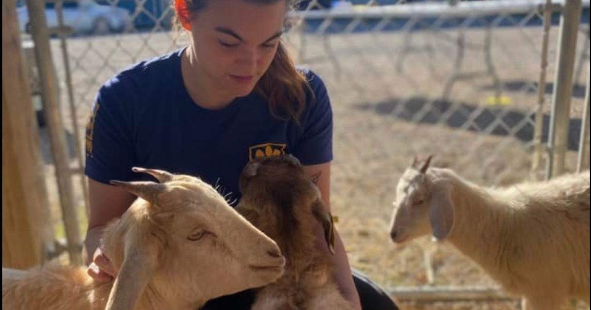 Man Makes Decision to Surrender Animals After Facing Hundreds of Charges