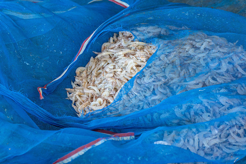 Frozen Shrimp Recalled for Possible Radioactive Contamination
