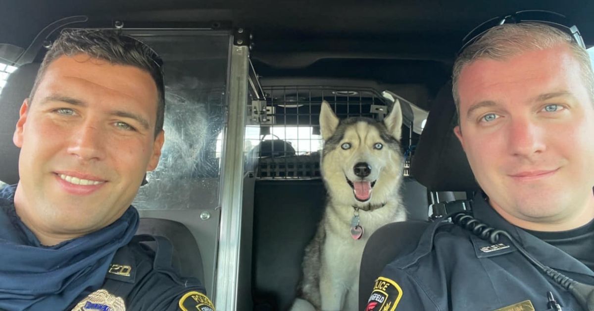 Police Rescue Dog from Hot Car After Owner Dies in Fatal Walmart Shooting