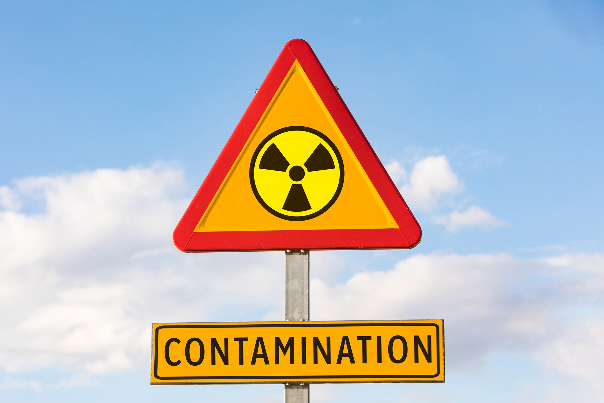 Radioactive Wasp Nest Found at Former Nuclear Bomb Manufacturing Site