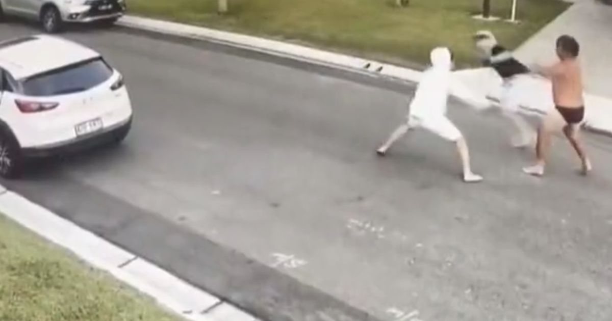 Watch: Man Uses Thief As Human Shield to Fend Off Other Thieves, All in His Underwear