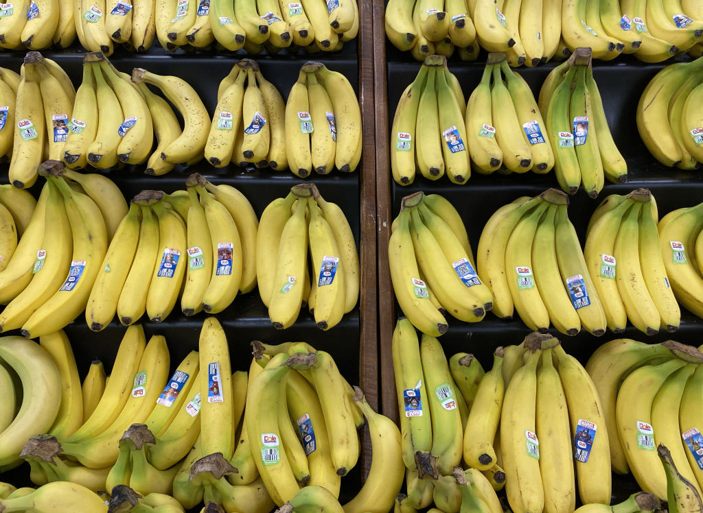 Scientists Warn Bananas Could Go Extinct Due to Fungus Infection
