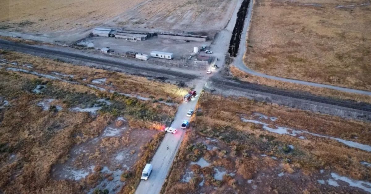 Woman and Dog Dead After Freak Accident: If You See This on the Ground Immediately Call 911