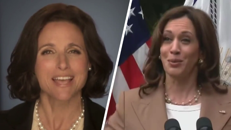 ‘The Daily Show’ Takes Aim at Harris With Brutal ‘Veep’ Montage