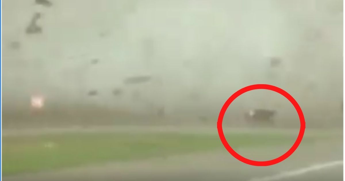 Teen Survives Getting Hit by Tornado on His Way Home from Job Interview, Gets Job and a New Truck