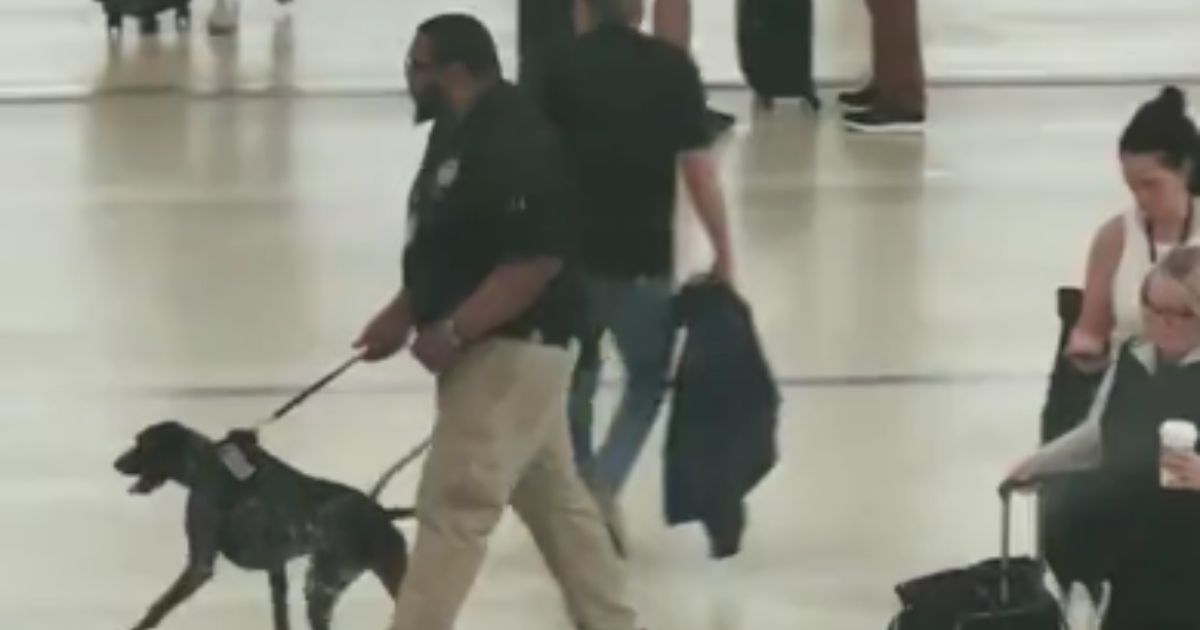 TSA Canine Handler Removed from Duties After Viral Video Showed What He Was Doing to Dog
