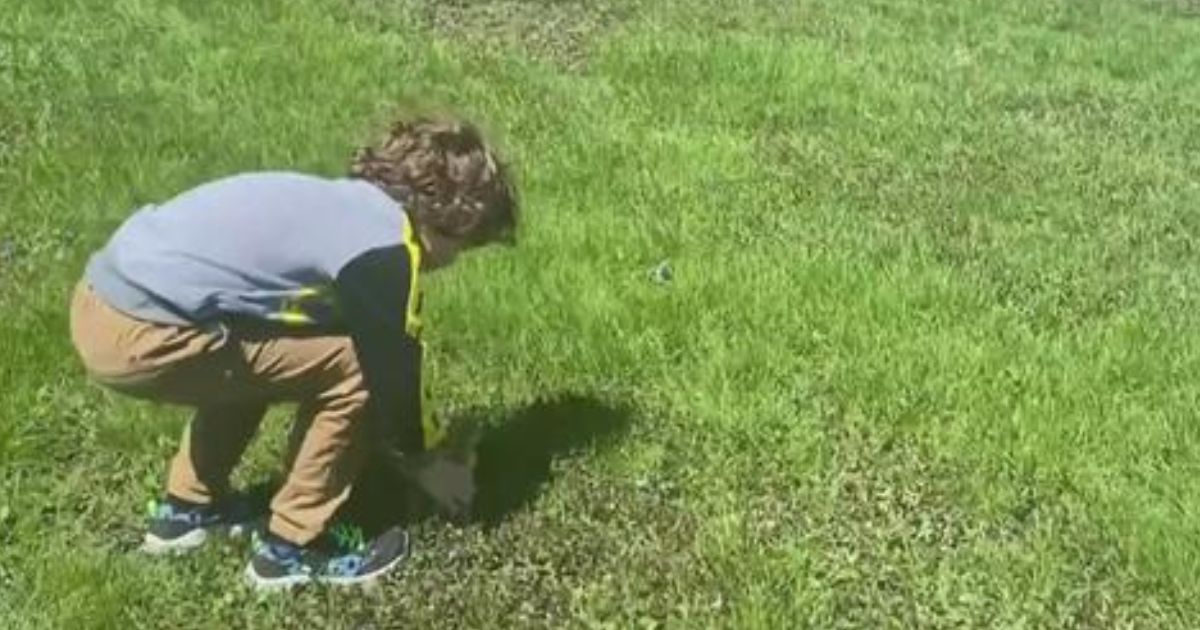 Mother's Day Miracle: 6-Year-Old Boy Spots Abandoned Gosling Near Busy Road, Finds It a New Family