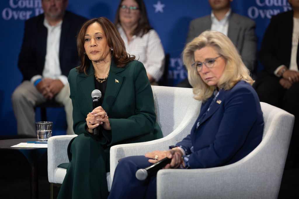 Liz Cheney Calls for ‘Guardrails of Democracy’ to Step Up After Trump Win