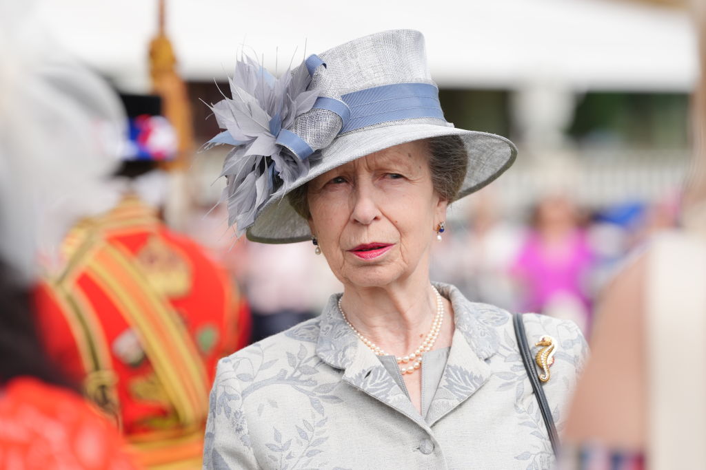 Princess Anne Released From Hospital 
