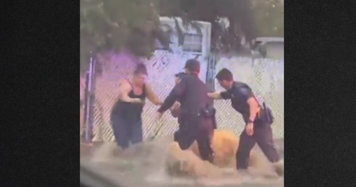 Video: Rookie Officers Jump into Flash Flood to Save Mom and Kids Being Swept Away