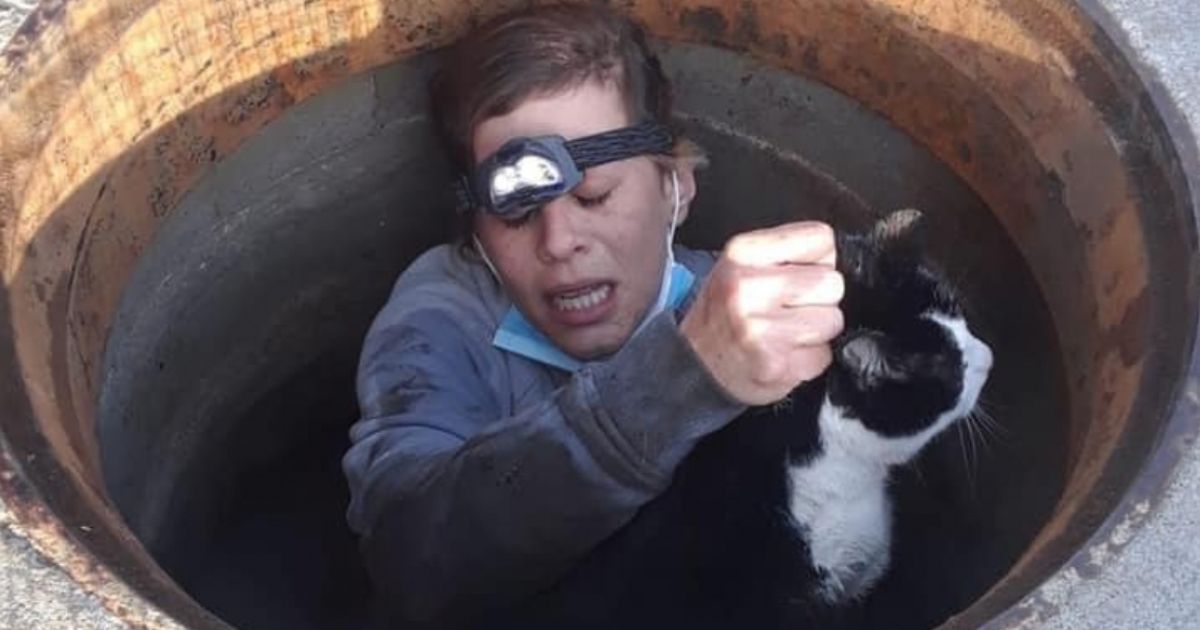 Local Hero Rescues Cat Trapped in Storm Drain, Does What Fire Department Couldn't
