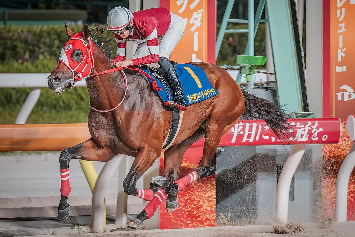 Forever Young Leads 2026 Breeders’ Cup Rankings