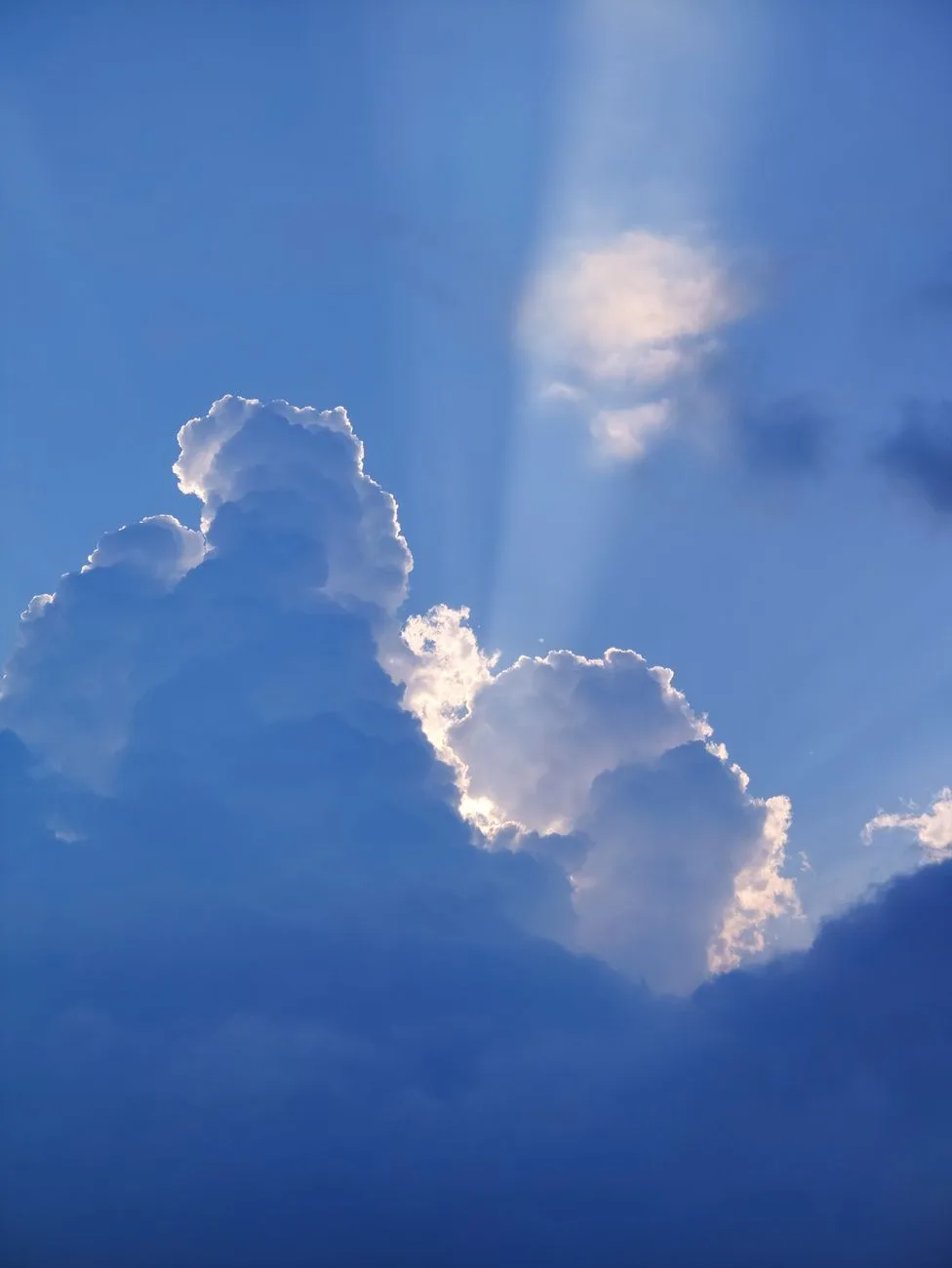 “Light shines on the righteous and joy on the upright in heart.” — Psalms 97:11, New International Version

Holy Bible, New International Version®, NIV® Copyright © 1973, 1978, 1984, 2011 by Biblica, 