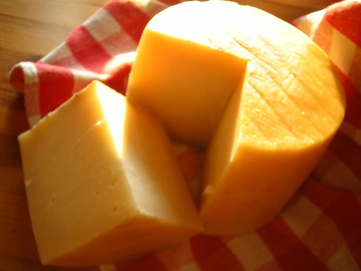 Who Moved My Cheese reframes change as a maze you keep moving through