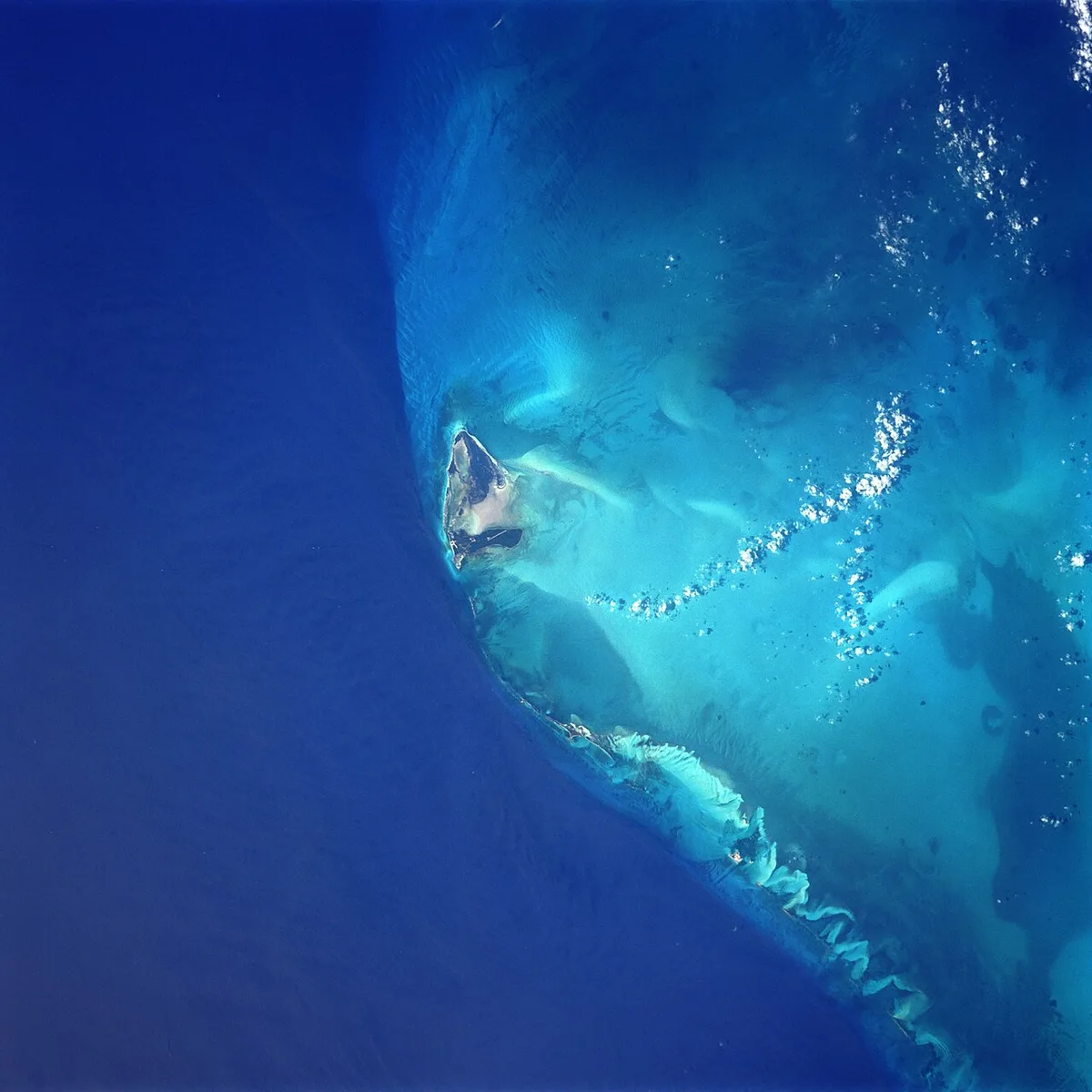 British Mother Dies Rescuing Sons in Bahamas