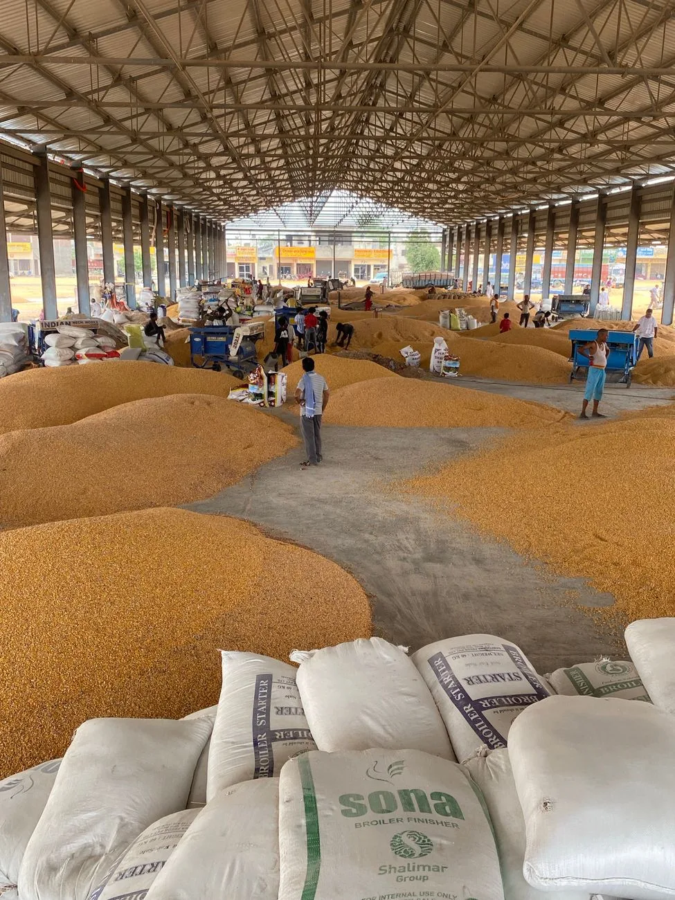 World Bank Forecasts 23% 2026 Commodity Price Rise Amid Supply Shocks