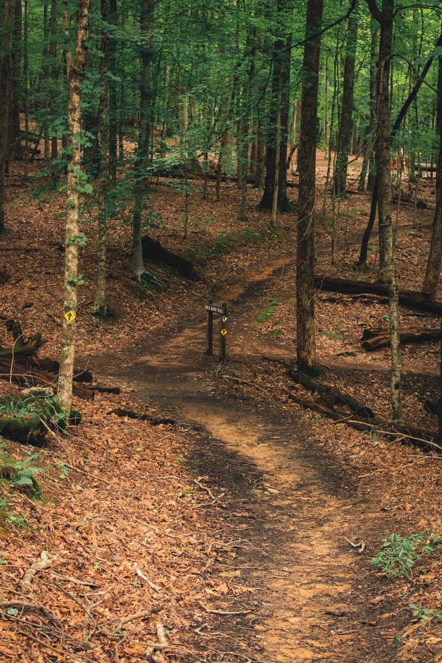 North Carolina Marks Great Trails State Day With Halloween Events