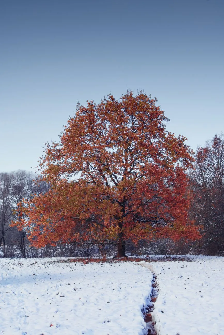 Coldest Septembers Across 10 States Since 1895