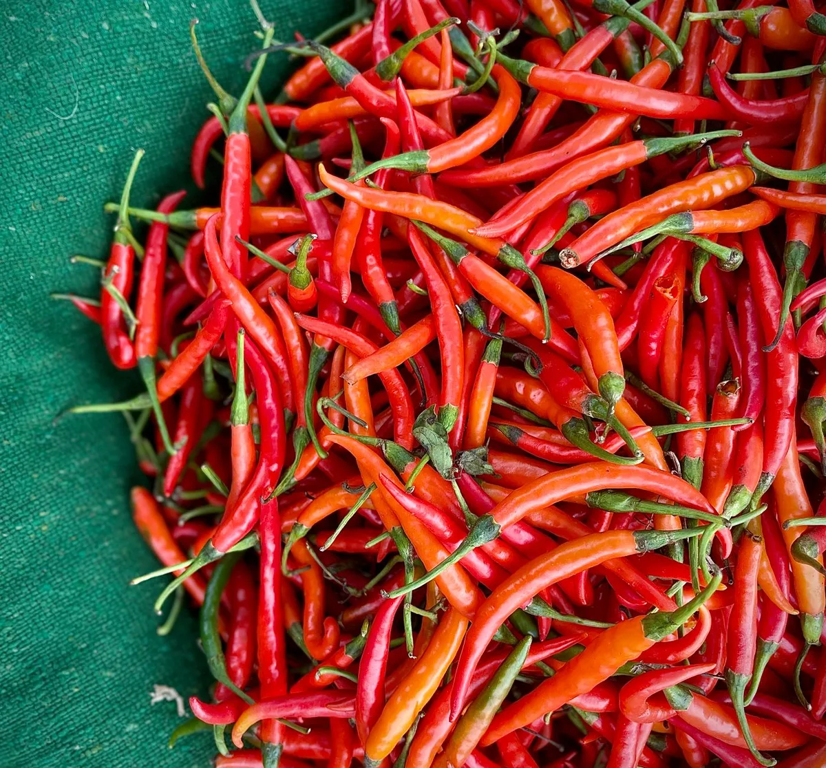 Chili Cook-Offs Held, Planned Across Communities